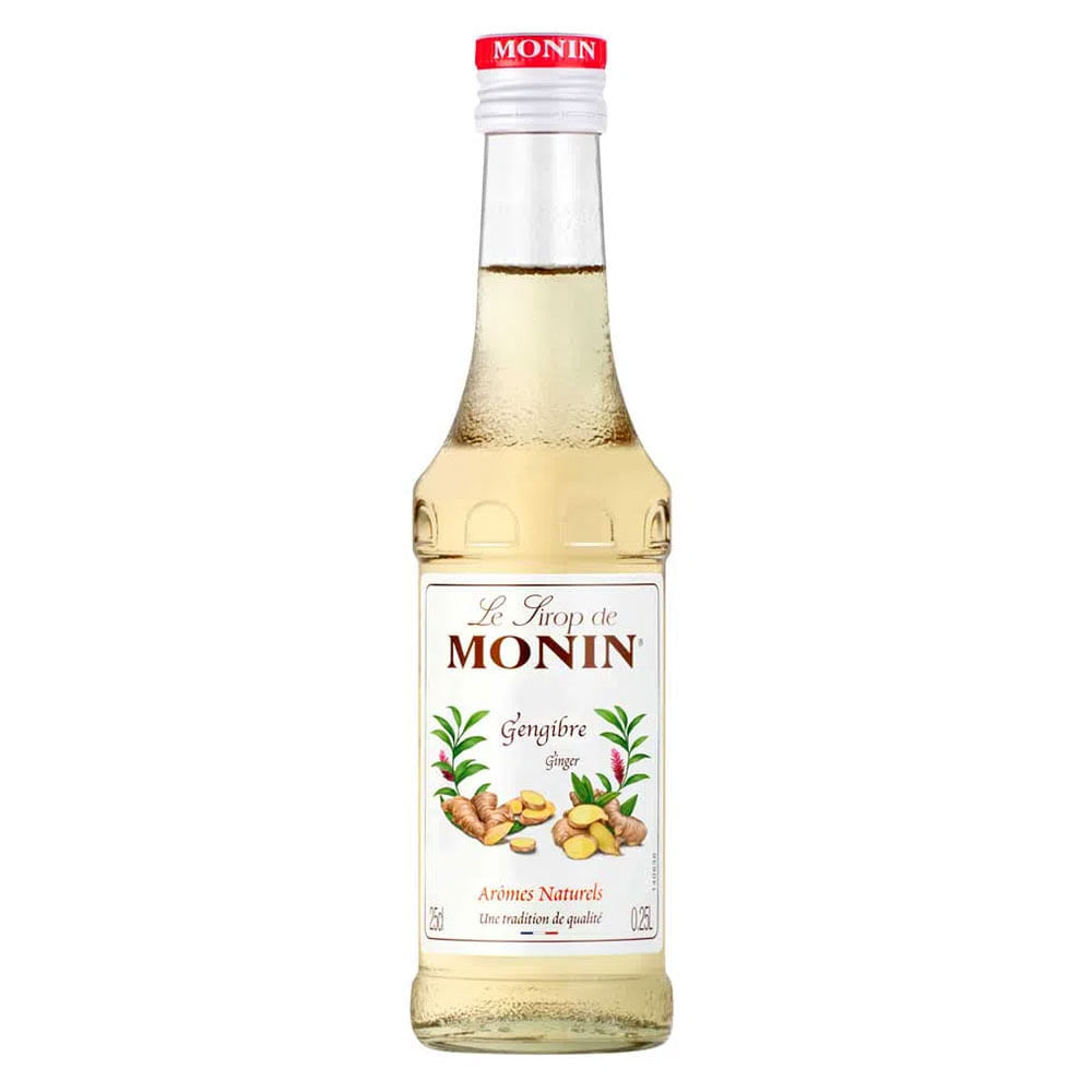 Xarope de Gengibre Monin 250ml