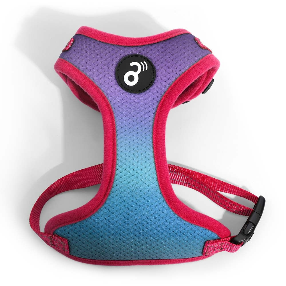 Peitoral Flow Mesh Roxo e Verde Tam. PP Mimo - PP316X [Reembalado]